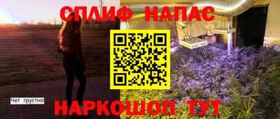 спиды Малгобек